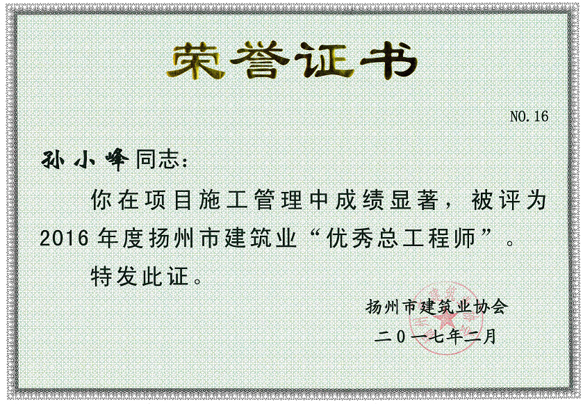 2017优秀总工程师-孙小峰